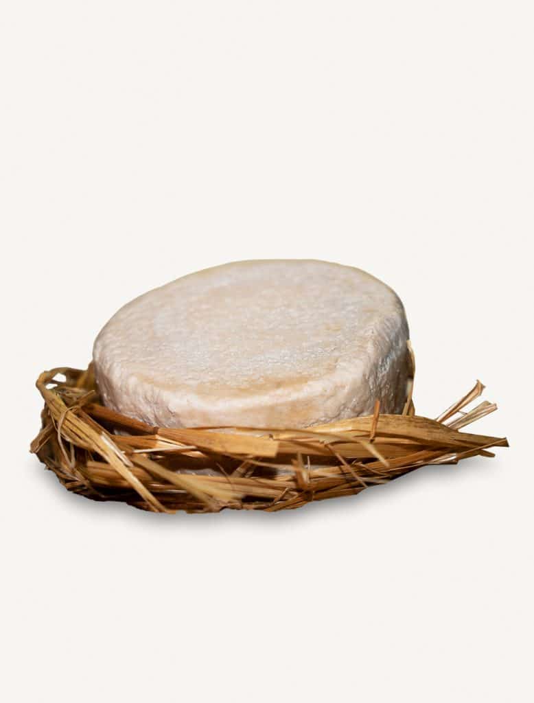 Queijo-Queimoso